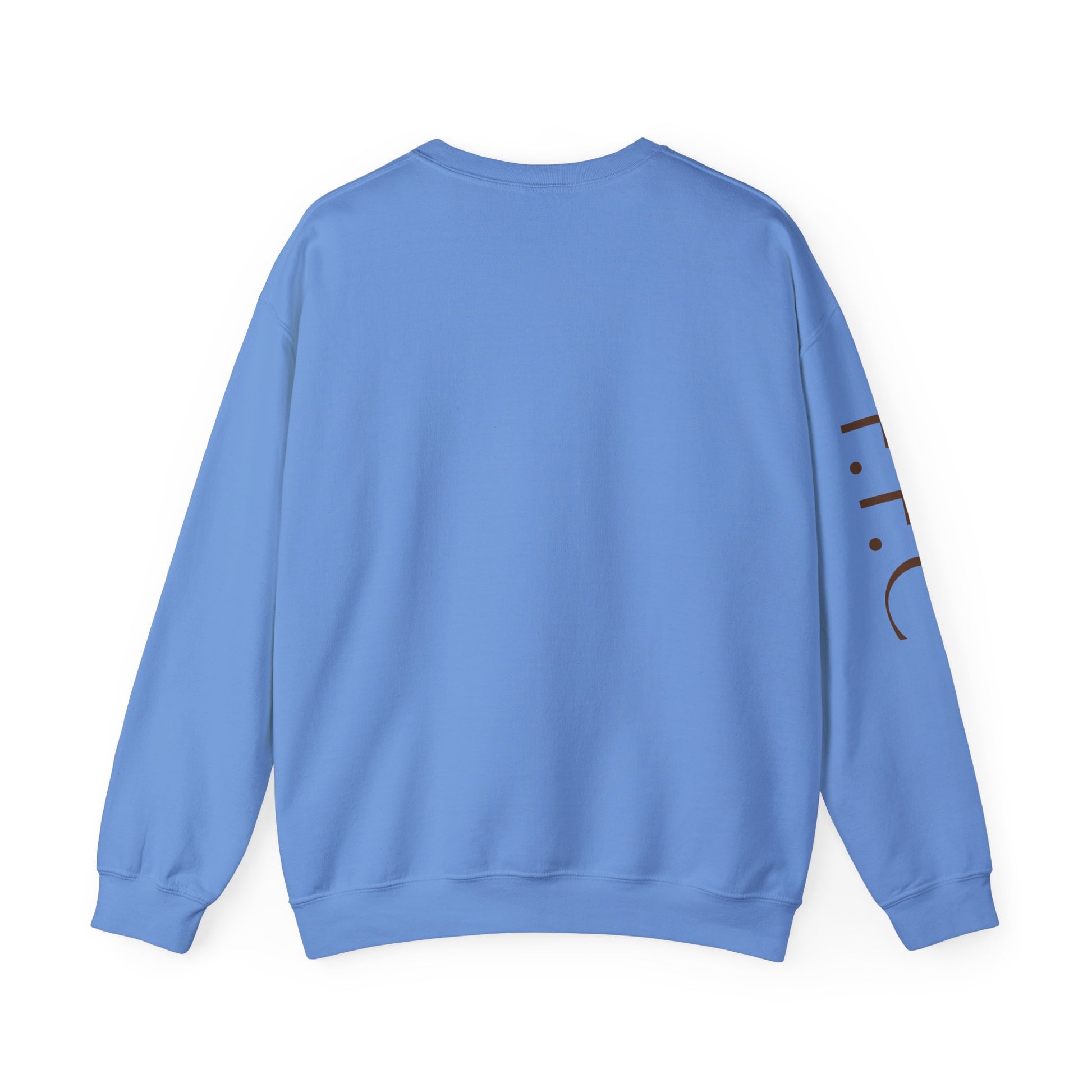 Stylish Unisex Sweatshirt, Cozy Sweatshirt for Horse Lovers, Perfect Gift for Birthdays, Everyday Wear, Fast Filly Co. Design