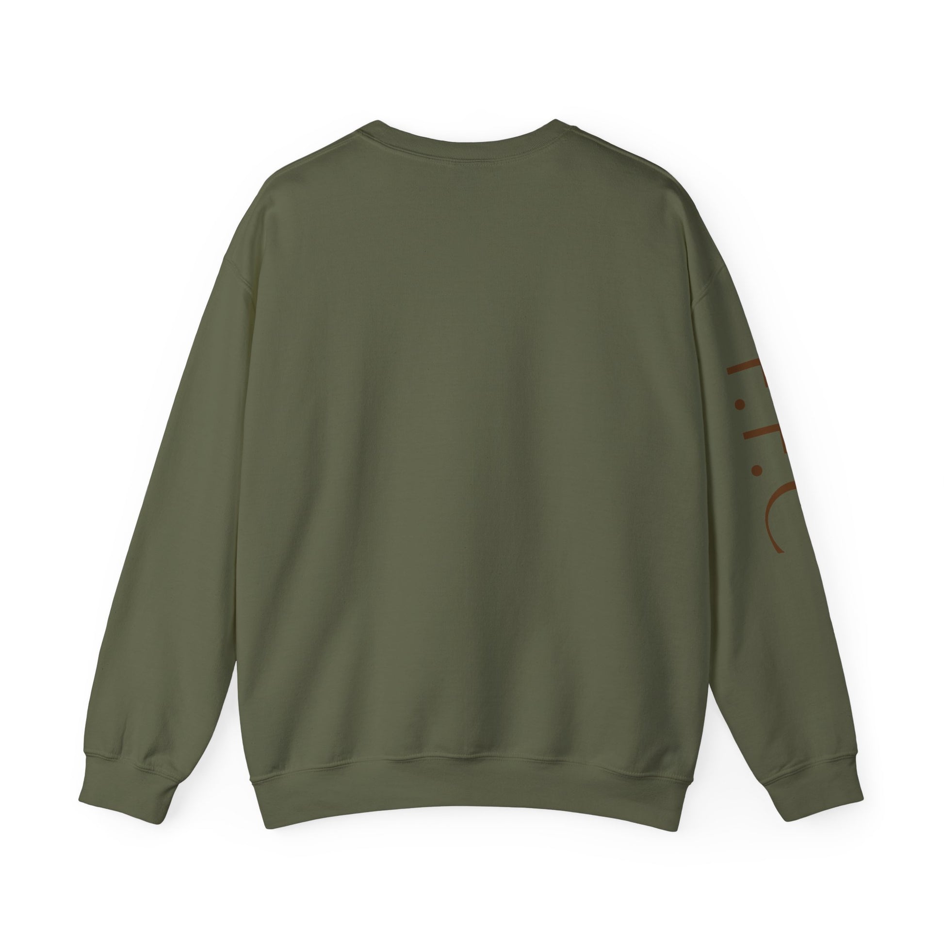 Stylish Unisex Sweatshirt, Cozy Sweatshirt for Horse Lovers, Perfect Gift for Birthdays, Everyday Wear, Fast Filly Co. Design