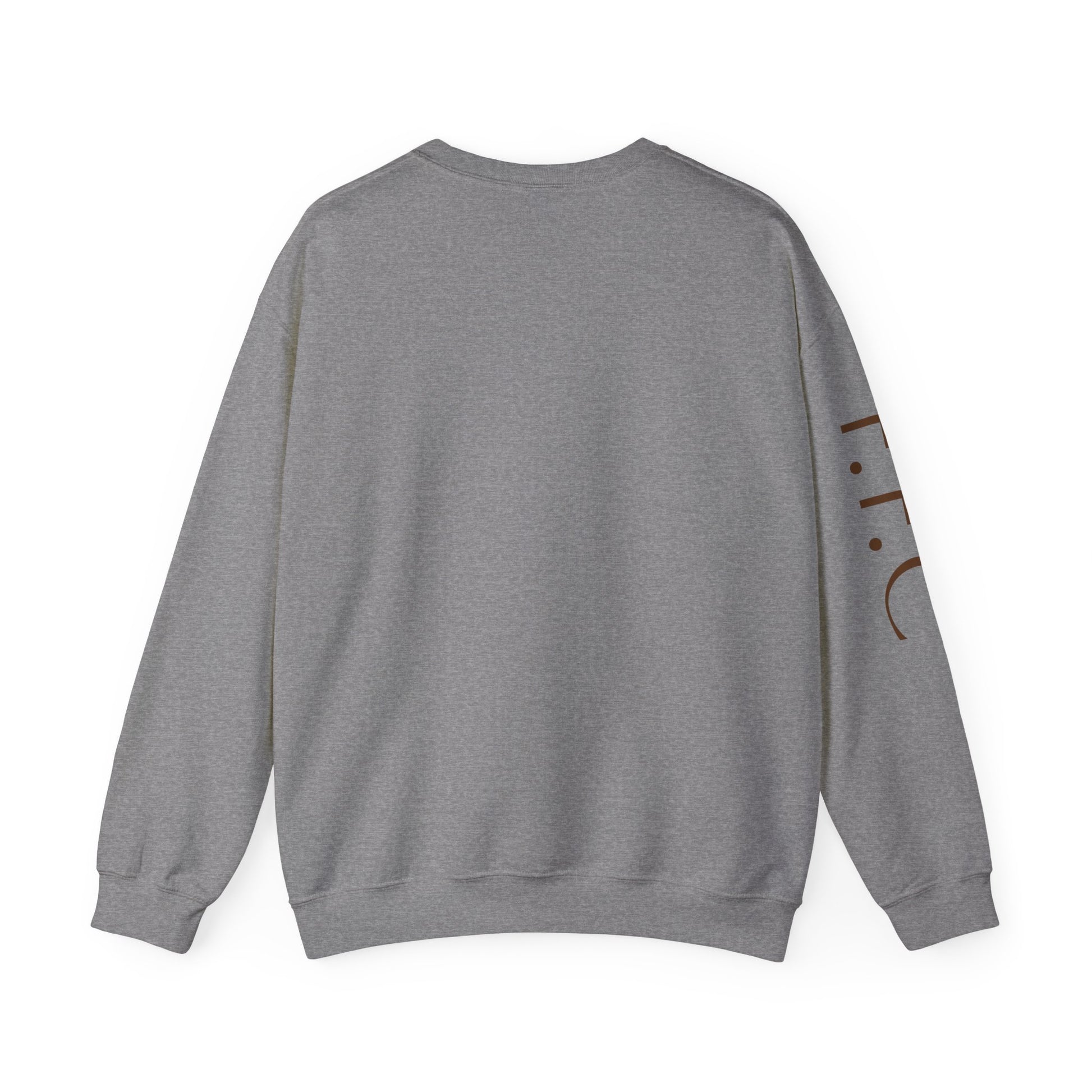 Stylish Unisex Sweatshirt, Cozy Sweatshirt for Horse Lovers, Perfect Gift for Birthdays, Everyday Wear, Fast Filly Co. Design
